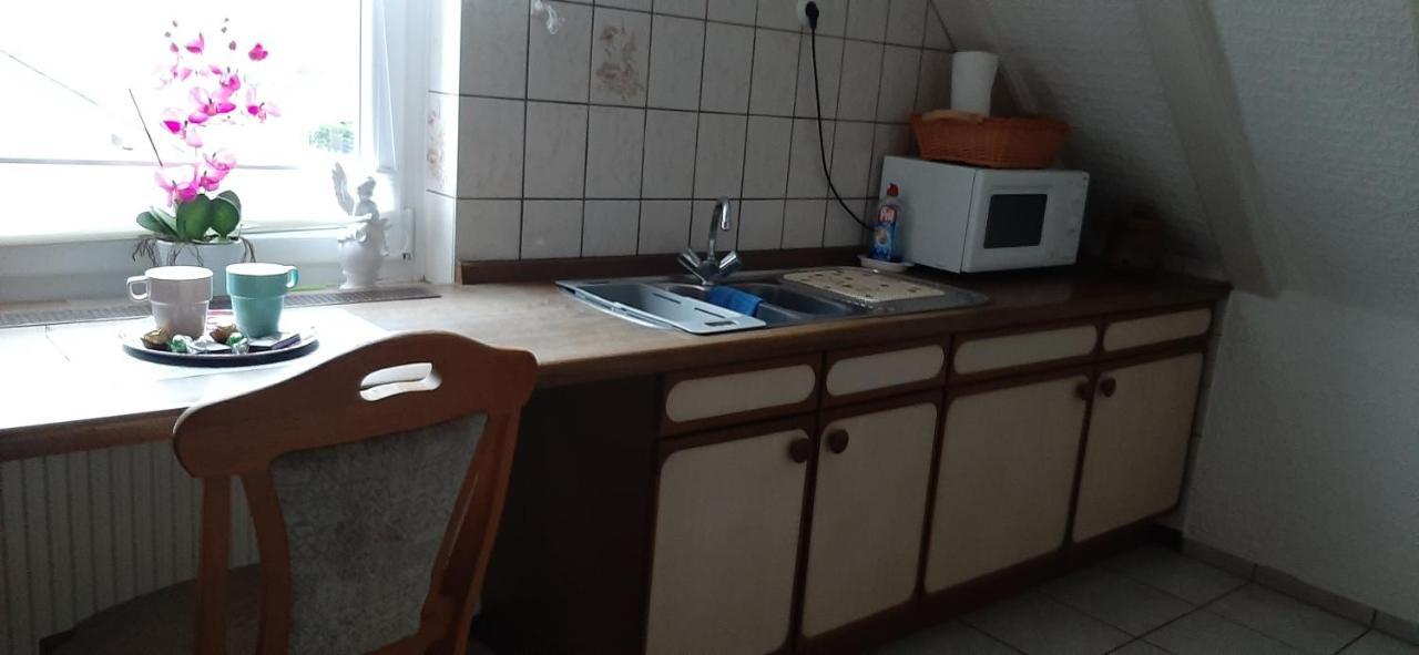 Ferienwohnung Gutowski Andernach Dış mekan fotoğraf