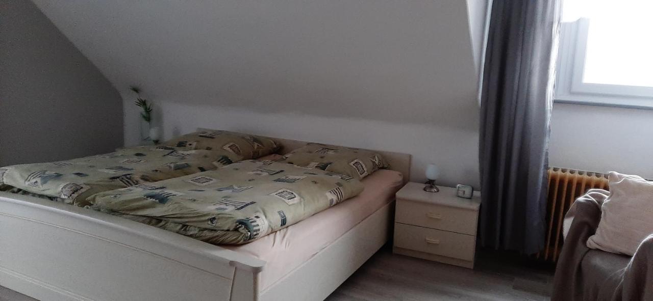 Ferienwohnung Gutowski Andernach Dış mekan fotoğraf