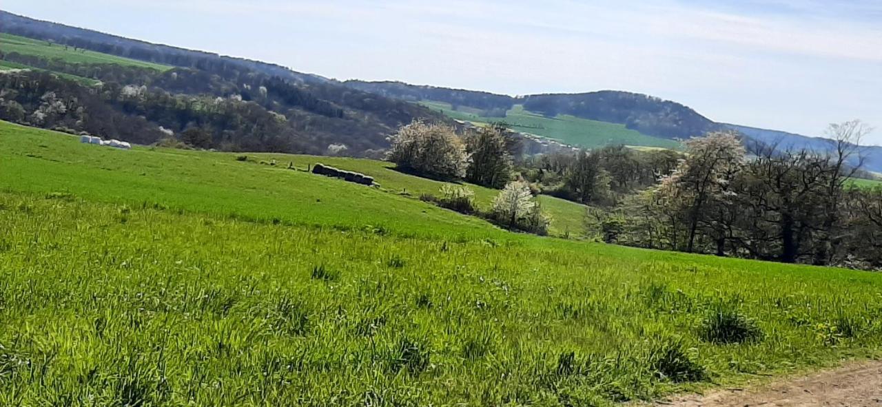 Ferienwohnung Gutowski Andernach Dış mekan fotoğraf